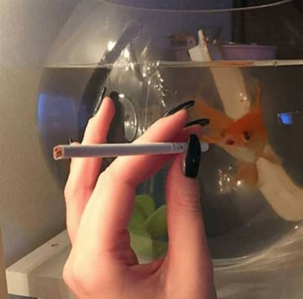 Klyker Picdump #1624 (44 photos)