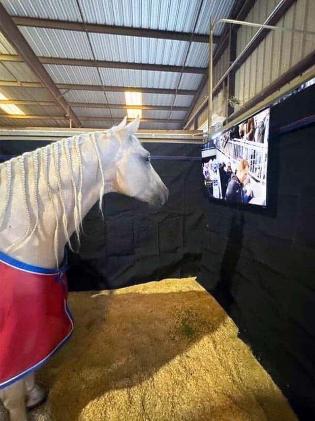 Klyker Picdump #1624 (44 photos)