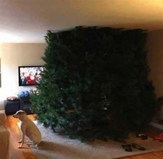 klyker picdump 12 30 2024 11 Klyker Picdump #1626 (41 photos)