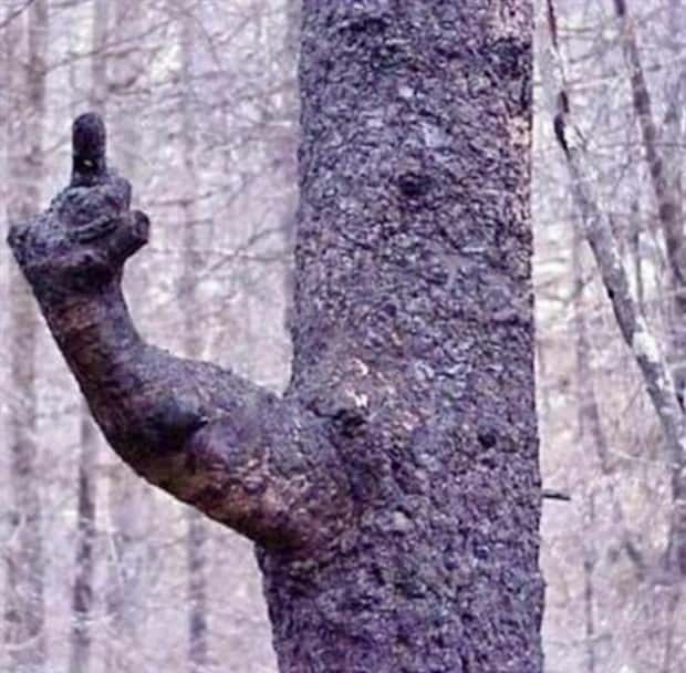 klyker picdump 12 30 2024 21 Klyker Picdump #1626 (41 photos)