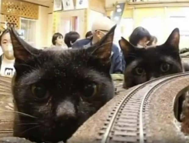 klyker picdump 12 30 2024 31 Klyker Picdump #1626 (41 photos)