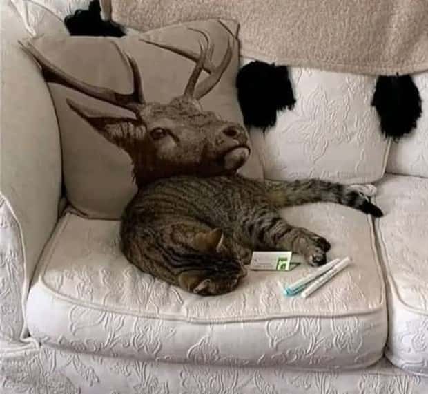 Klyker Picdump #1627 (42 photos)