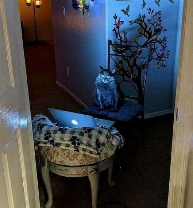 Klyker Picdump #1627 (42 photos)