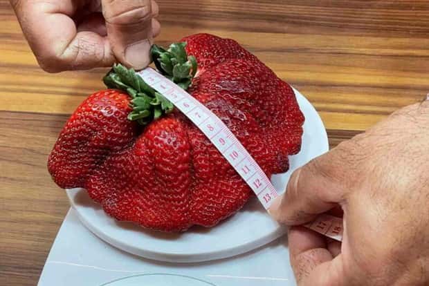 Klyker Picdump #1627 (42 photos)