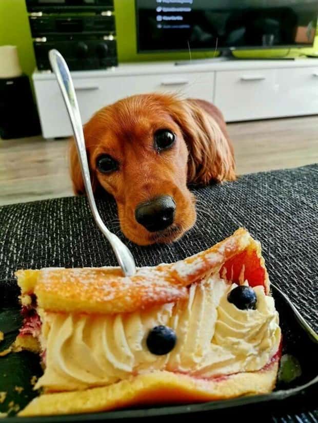 Klyker Picdump #1627 (42 photos)