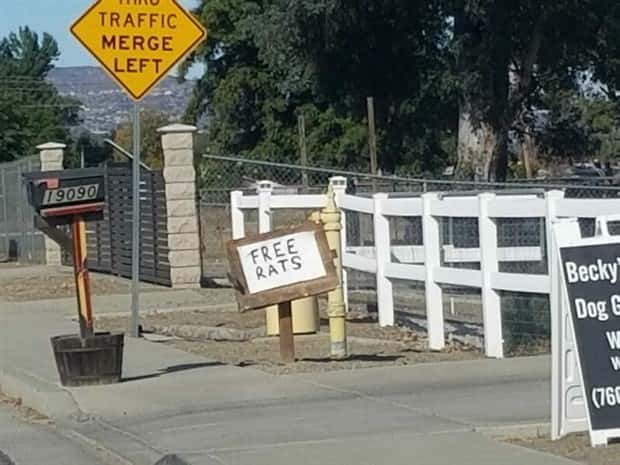 Klyker Picdump #1608 (43 photos)