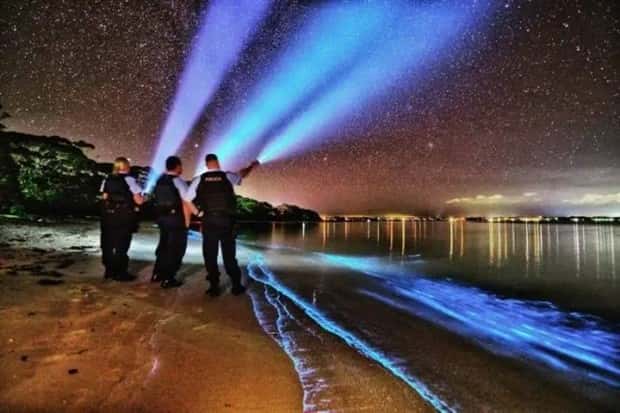 Klyker Picdump #1608 (43 photos)