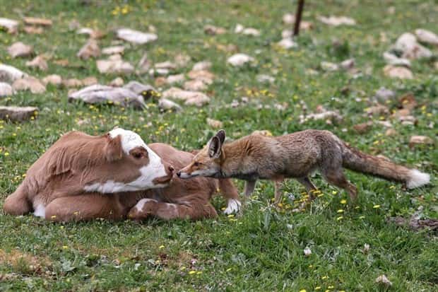 Klyker Picdump #1610 (45 photos)