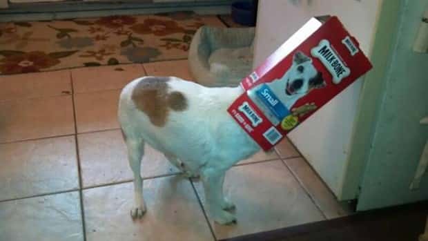 Klyker Picdump #1610 (45 photos)