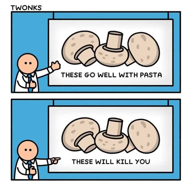 Klyker Picdump #1611 (41 photos)