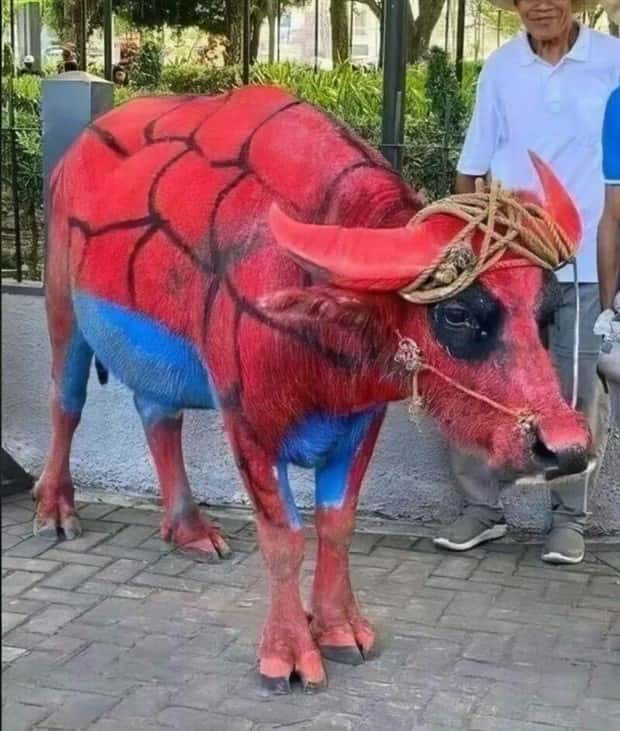 Klyker Picdump #1611 (41 photos)