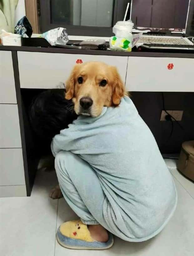 Klyker Picdump #1611 (41 photos)