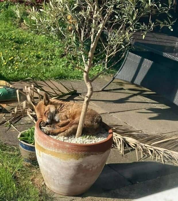 Klyker Picdump #1611 (41 photos)