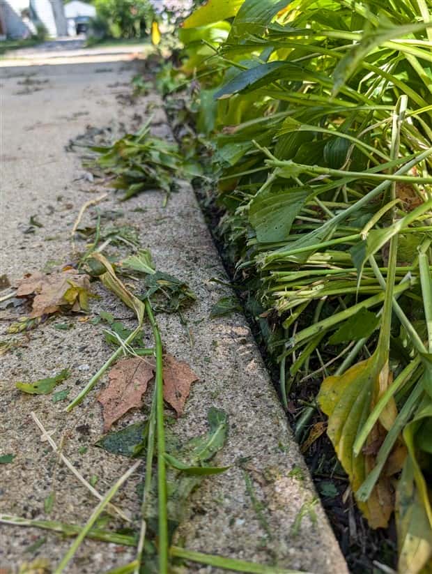 pictures for perfectionists 9 Soothing Pictures for Perfectionists #22 (26 photos)