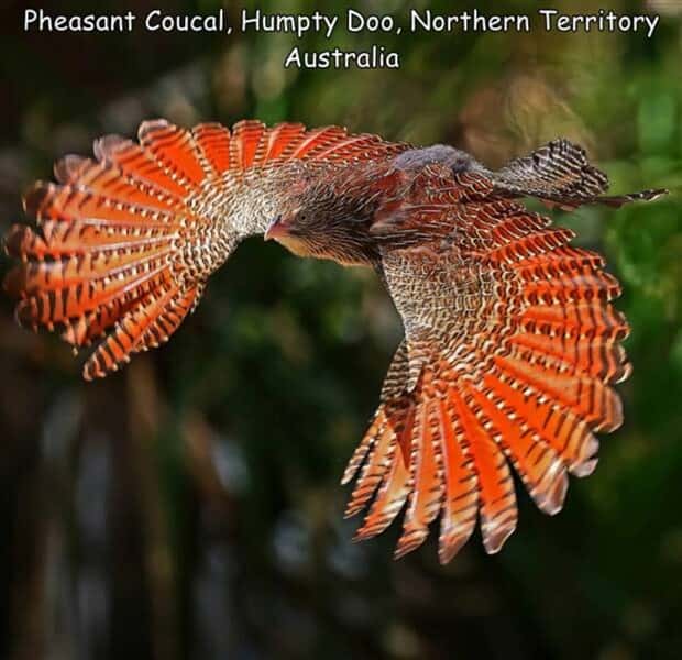 Interesting Pictures with Captions #134 (24 photos)