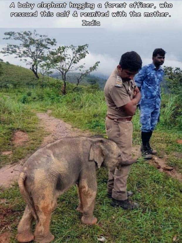 Interesting Pictures with Captions #134 (24 photos)