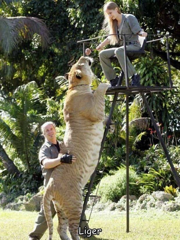 Interesting Pictures with Captions #135 (22 photos)