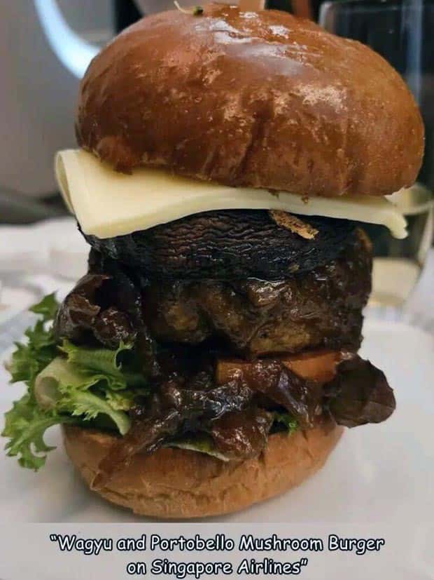 Interesting Pictures with Captions #133 (23 photos)