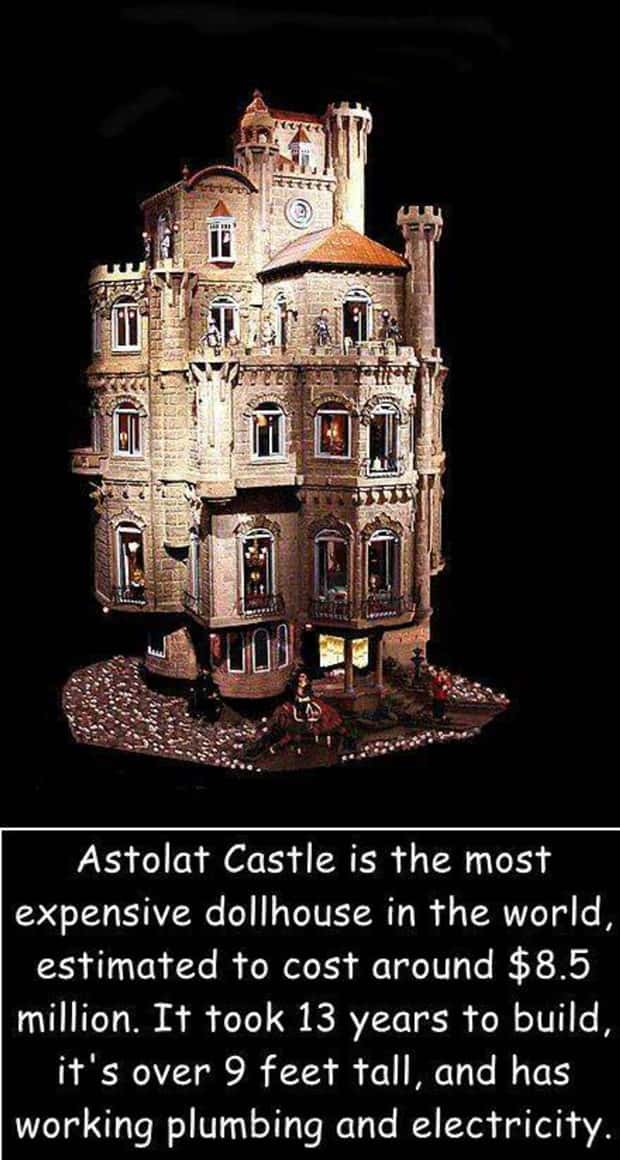 Interesting Pictures with Captions #135 (22 photos)