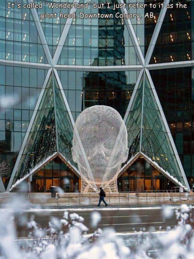 pictures with captions 6 Interesting Pictures with Captions #132 (26 photos)