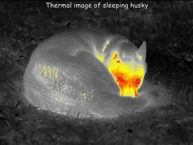 Interesting Pictures with Captions #134 (24 photos)