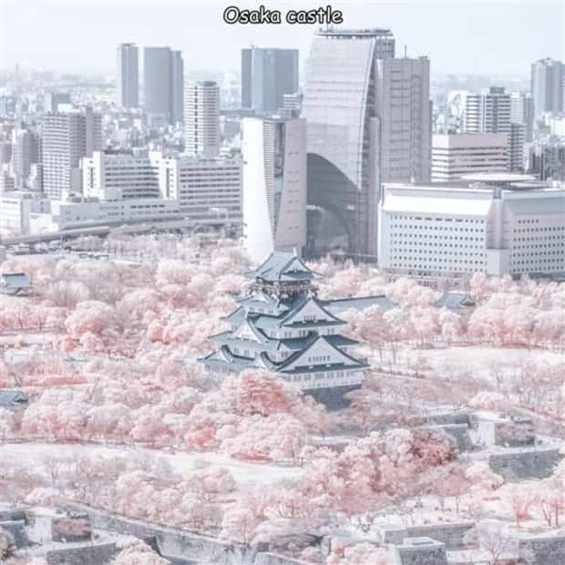 Interesting Pictures with Captions #134 (24 photos)