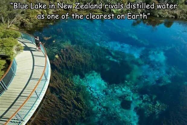 Interesting Pictures with Captions #135 (22 photos)