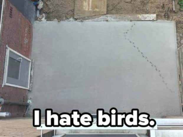 shit happens 10 3 Shit Happens Regularly, Get Used To It #308 (26 photos)