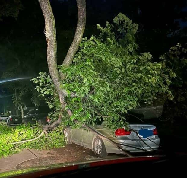 shit happens 13 3 Shit Happens Regularly, Get Used To It #308 (26 photos)