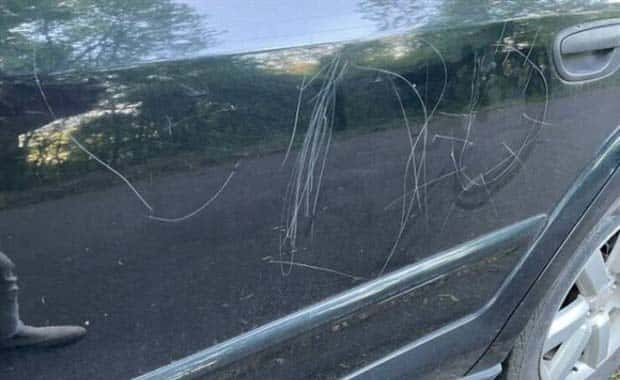 shit happens 16 3 Shit Happens Regularly, Get Used To It #308 (26 photos)