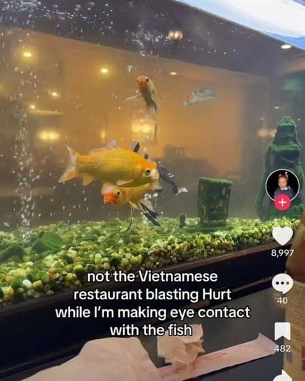 tiktok snapshots 22 38 Snapshots That Scream TikTok (38 photos)