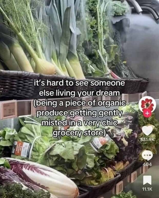 tiktok snapshots 29 38 Snapshots That Scream TikTok (38 photos)