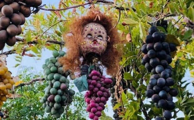 Unsettling Pics to Instantly Ruin Your Vibe (31 photos)
