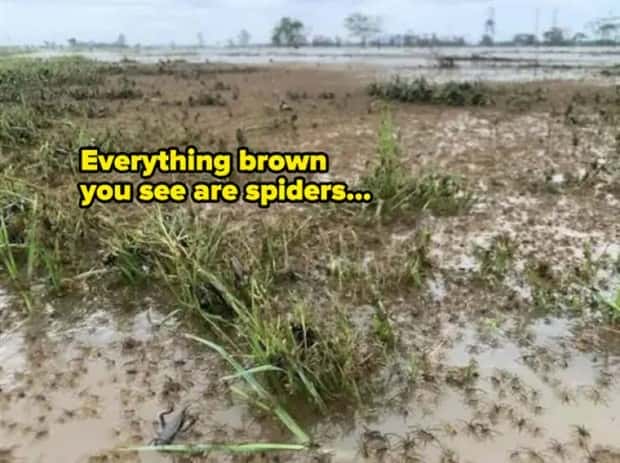 25 More WTF Photos, Because Why Not!?