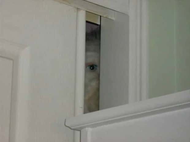 25 More WTF Photos, Because Why Not!?