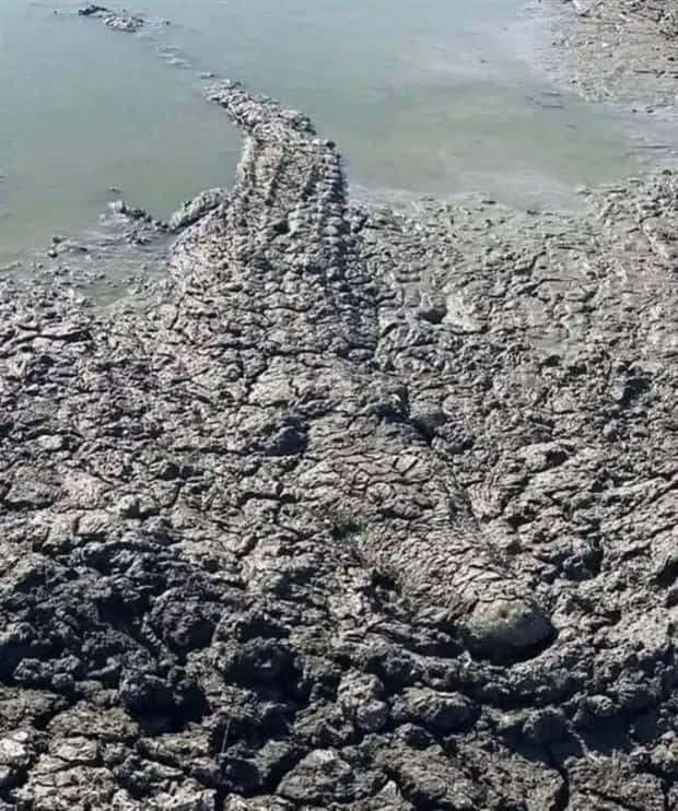 25 More WTF Photos, Because Why Not!?