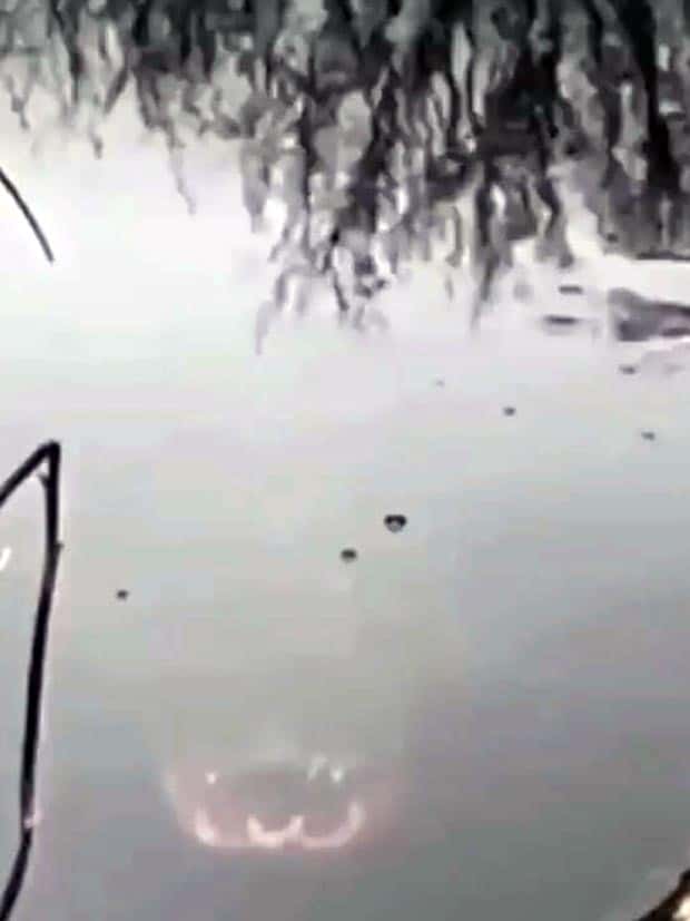 25 More WTF Photos, Because Why Not!?