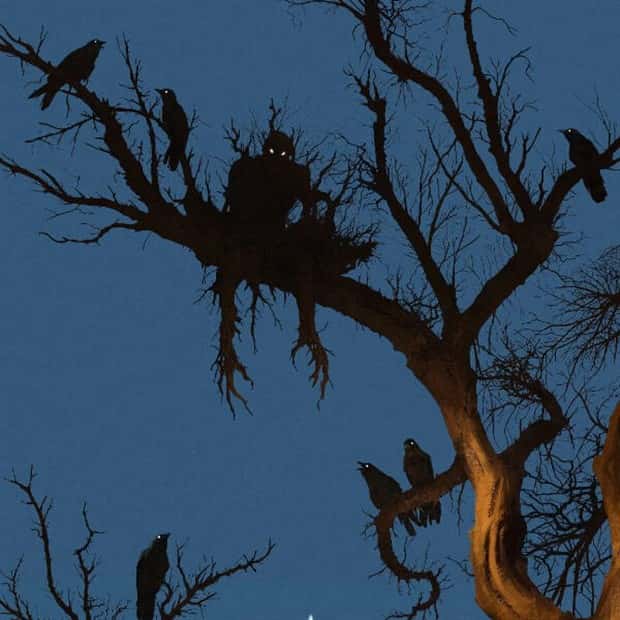 25 More WTF Photos, Because Why Not!?