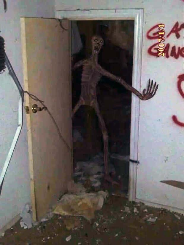 25 More WTF Photos, Because Why Not!?