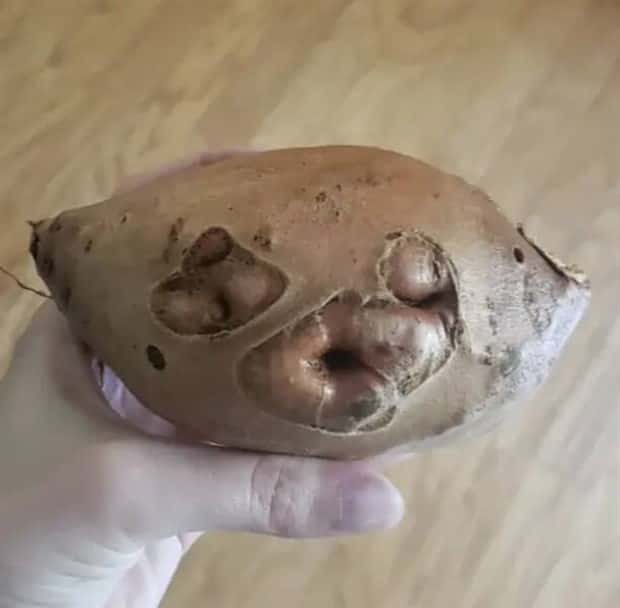 25 More WTF Photos, Because Why Not!?