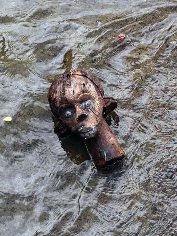 25 More WTF Photos, Because Why Not!?