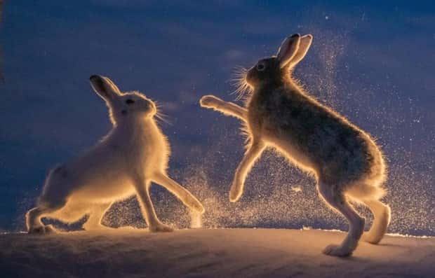 Awesome Pictures You Shouldn’t Miss #137 (23 photos)