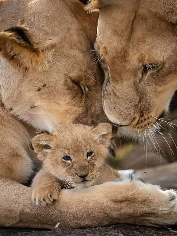 Awesome Pictures You Shouldn’t Miss #137 (23 photos)