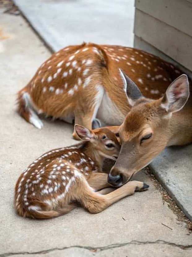 Awesome Pictures You Shouldn’t Miss #137 (23 photos)