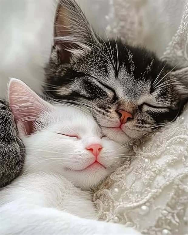 Awesome Pictures You Shouldn’t Miss #137 (23 photos)