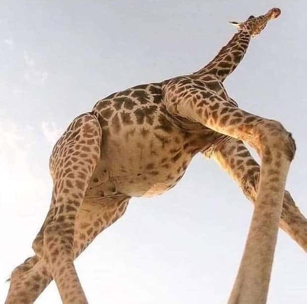 Awesome Pictures You Shouldn’t Miss #137 (23 photos)