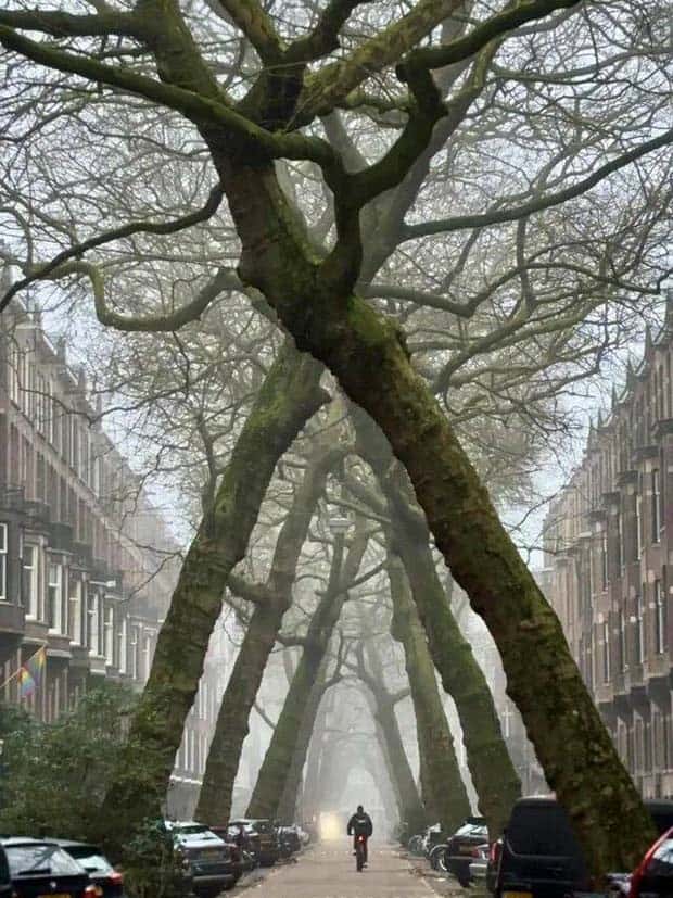 Awesome Pictures You Shouldn’t Miss #137 (23 photos)