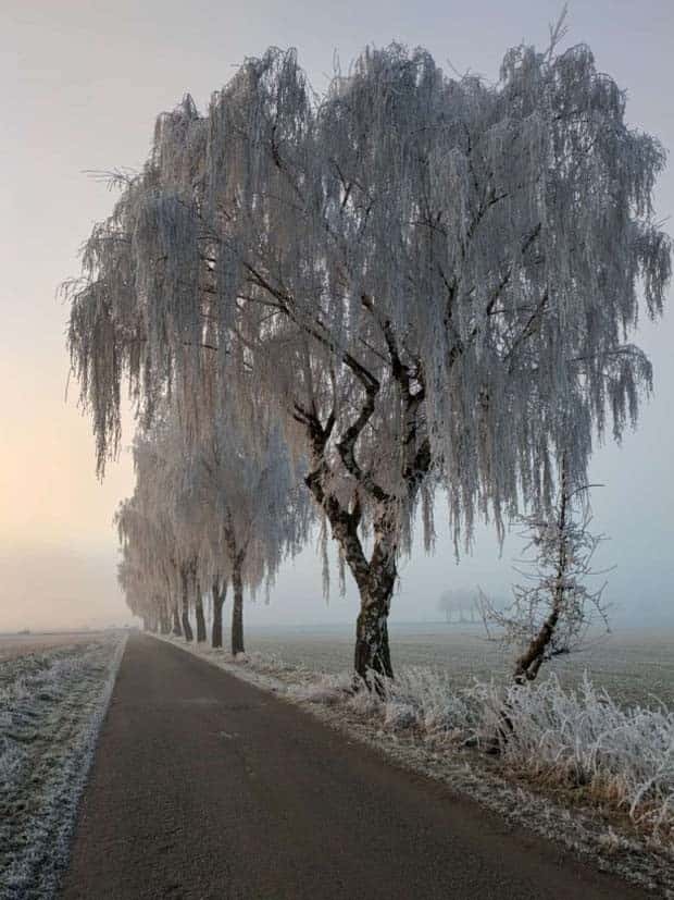 Awesome Pictures You Shouldn’t Miss #137 (23 photos)