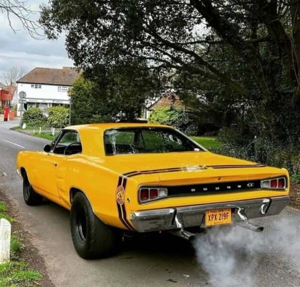 Classic Muscle Cars That Thrill (37 photos)
