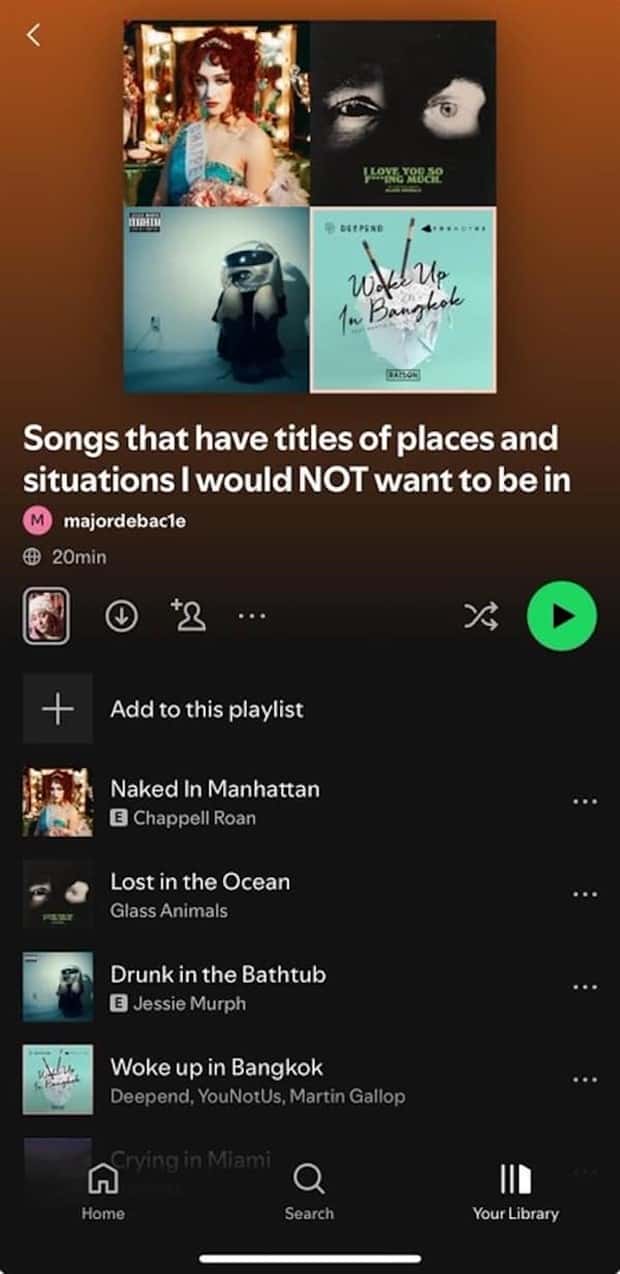 confusing spotify playlists 20 Confusing Spotify Playlists Full of Chaos (27 photos)